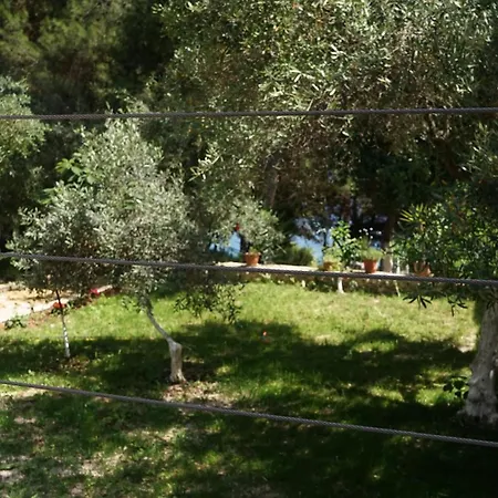 Life On * Himare