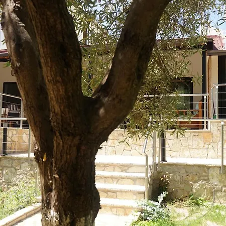 Apartment Life On Himare